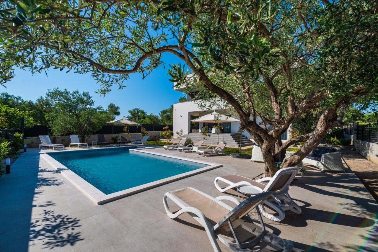 Crowonder Sun Dance Apartments With Heated Swimming Pool Seaview And Garden Sveti Filip i Jakov Luaran gambar